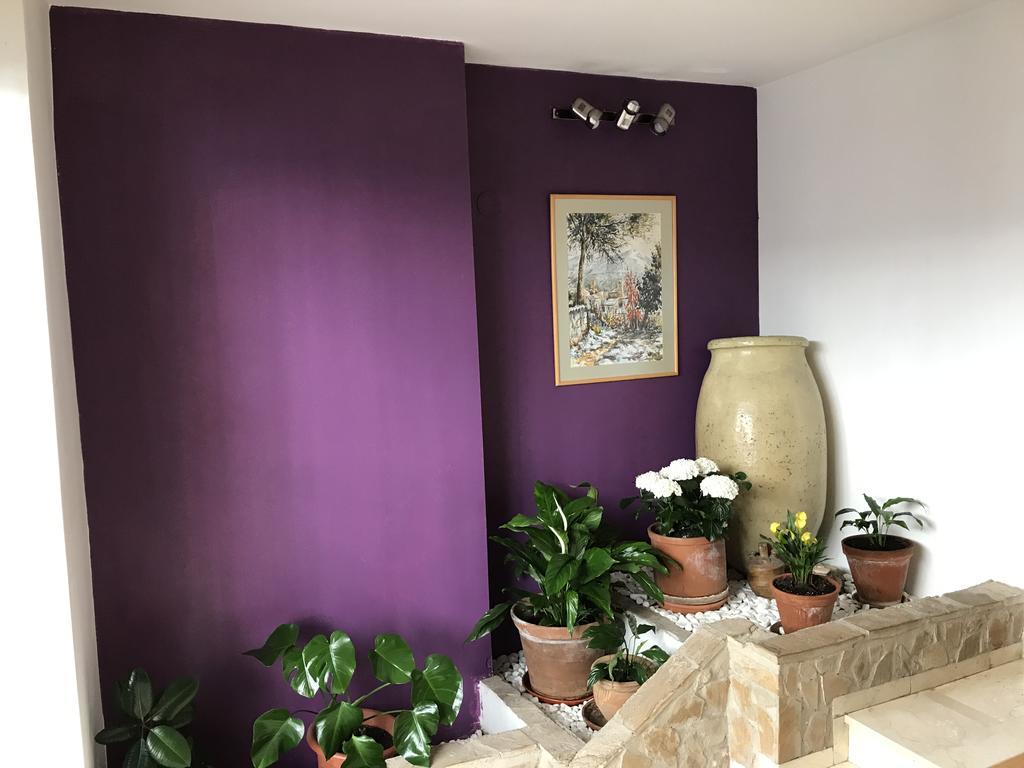 Hotel Balcon De 卡索拉 外观 照片